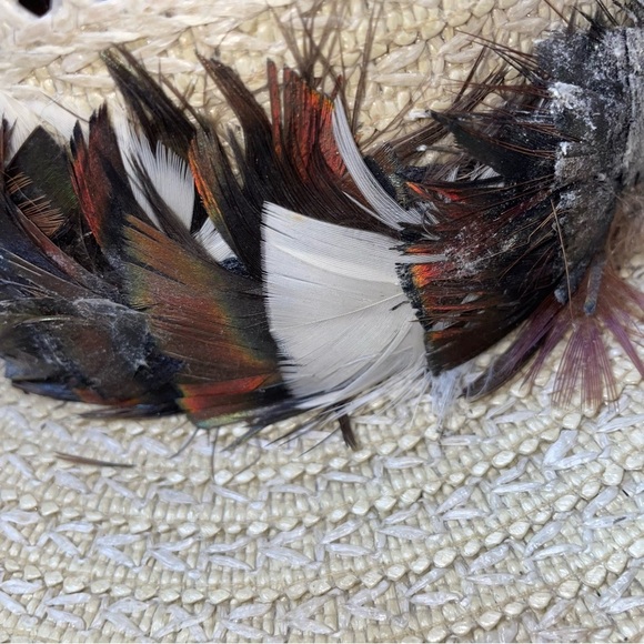 Western straw hat with bird feather brimmed cowgirl hat western wear cowgirl - Picture 6 of 6